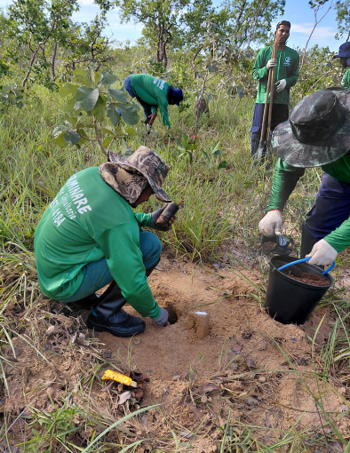 Técnico da Germinare especialista em plantio técnico preparando área degradada para projeto de restauração ecológica.