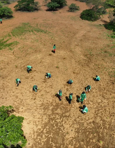 Equipe em campo realizando o plantio de mudas nativas para recuperação de áreas degradadas pela Germinare.