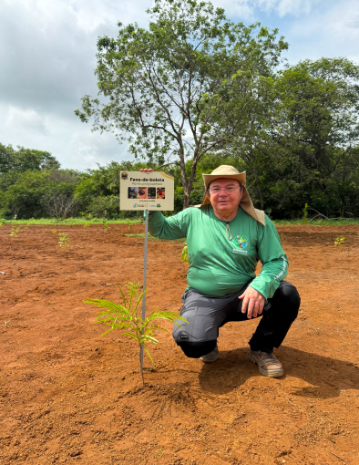 Técnico de campo realizando inventário e monitoramento de mudas para a recuperação de áreas degradadas com biodiversidade nativa.
