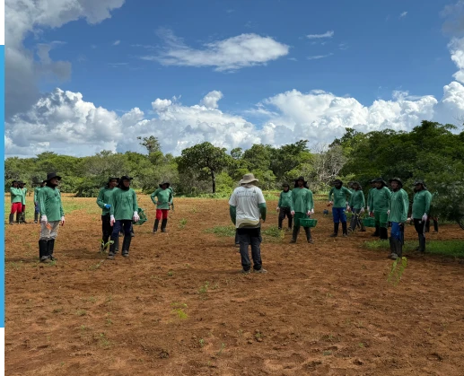 Equipe operacional da Germinare especialista em projetos de restauração e saneamento ambiental.